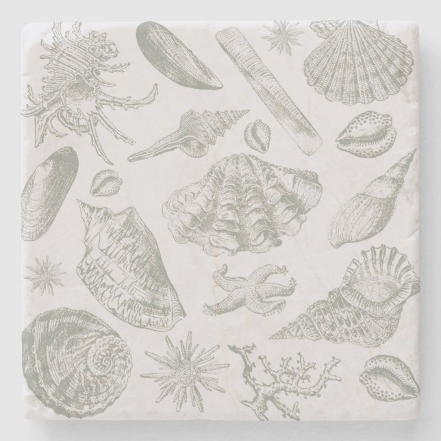 Posavasos De Piedra Seashell Soft Antique Art Beach Shells (Anverso)