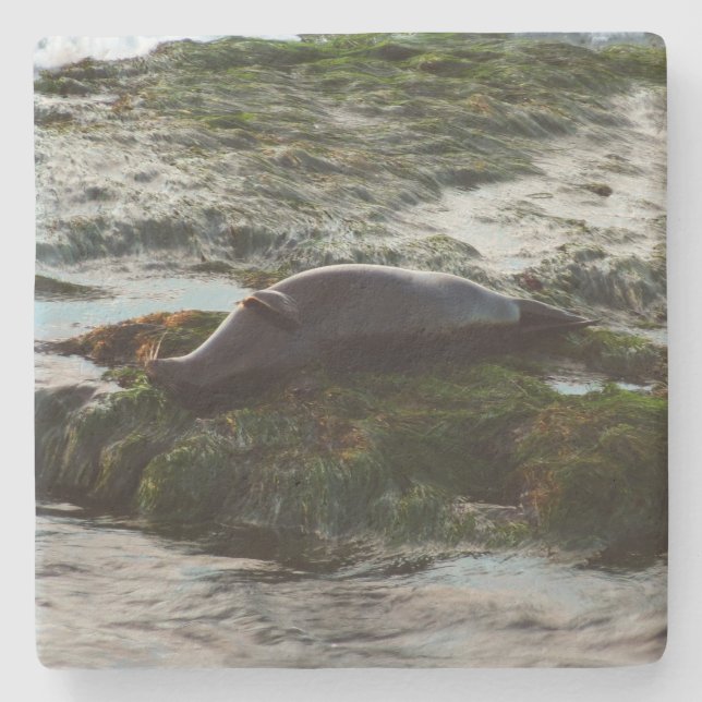 Posavasos De Piedra Sello de puerto de luz solar II en San Diego (Anverso)