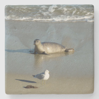 Posavasos De Piedra Sello de puerto en La Jolla California