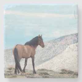 Posavasos De Piedra Semental Mustang salvaje