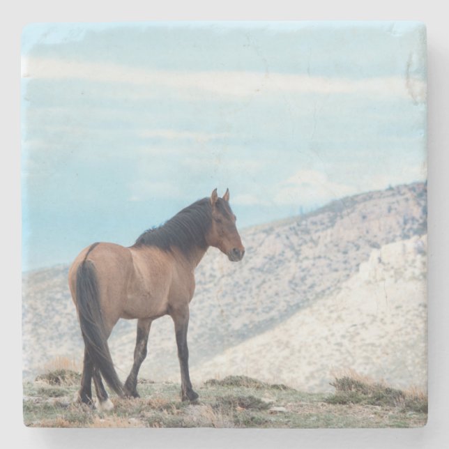 Posavasos De Piedra Semental Mustang salvaje (Anverso)