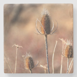 Posavasos De Piedra Sencillamente Thistle