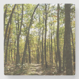 Posavasos De Piedra Sendero Apalache en octubre en Shenandoah