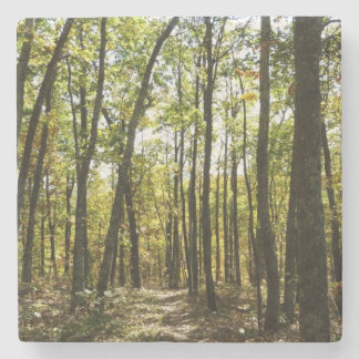 Posavasos De Piedra Sendero Apalache en octubre en Shenandoah