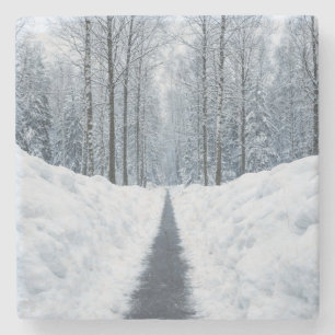 Posavasos De Piedra Sendero de bosque invernal brumoso Paisaje inverna