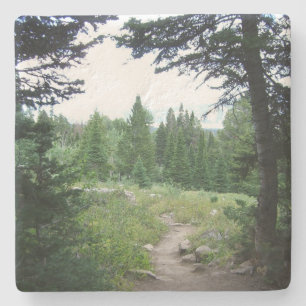 Posavasos De Piedra Sendero Grand Teton