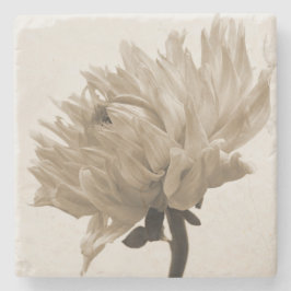 Posavasos De Piedra sepia dahlia