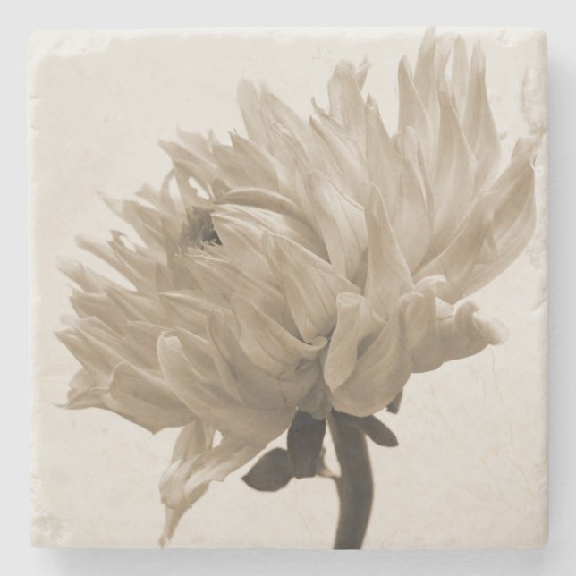 Posavasos De Piedra sepia dahlia (Anverso)