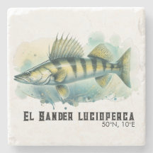 Serie de Acuarela: Zander/Lubina