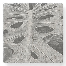 Serigrafía de Monstera