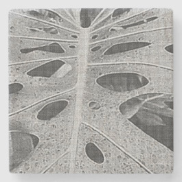 Posavasos De Piedra Serigrafía de Monstera