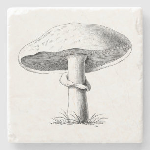 Posavasos De Piedra Seta