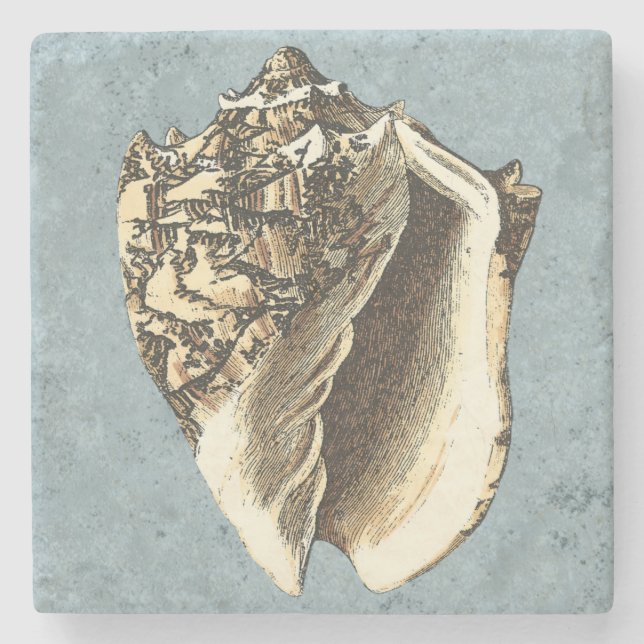 Posavasos De Piedra Shell de conchas encalladas (Anverso)
