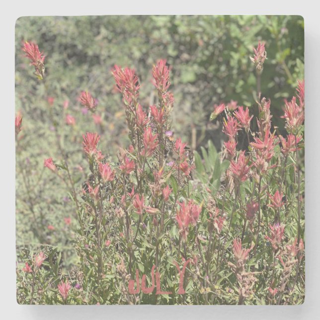 Posavasos De Piedra Show de rock de julio (Anverso)