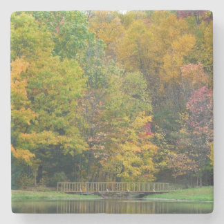 Posavasos De Piedra Siete Springs Fall Bridge II Paisaje de Otoño
