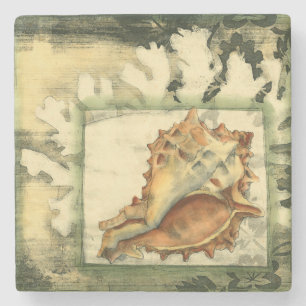 Posavasos De Piedra Silhouette Conch Shell