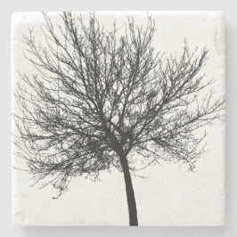 Posavasos De Piedra Silueta de árbol