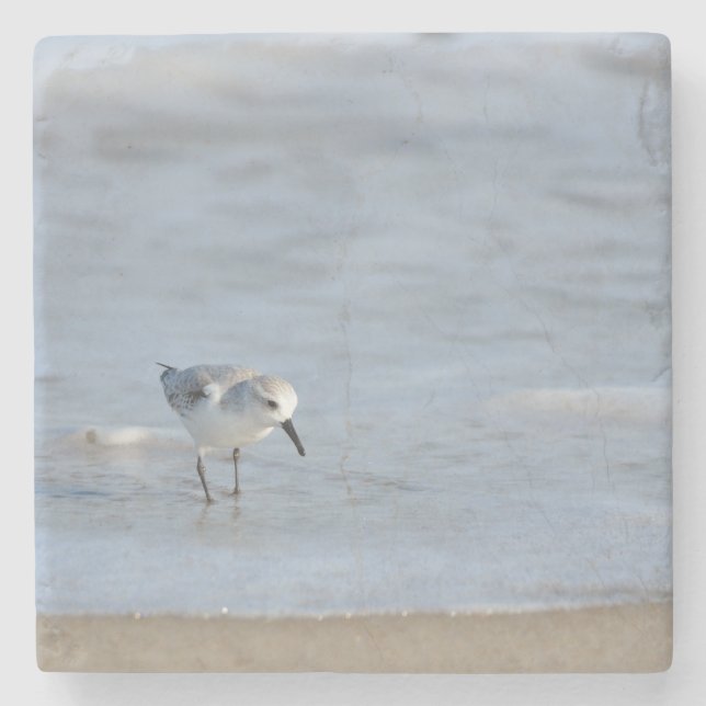 Posavasos De Piedra Single Sandpiper walking on beach  (Anverso)