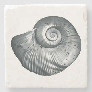 Posavasos De Piedra Snail Shell