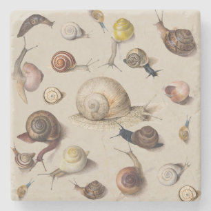 Posavasos De Piedra Snail Slug Garden Pet Gastropod Botanical Snails