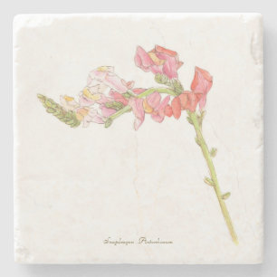 Posavasos De Piedra Snapdragon