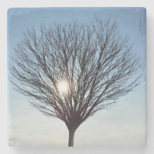 Posavasos De Piedra sol de invierno