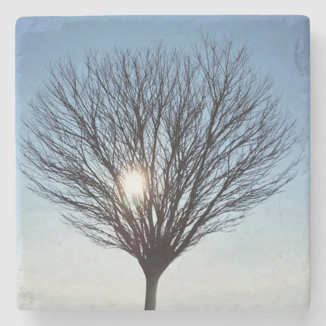 Posavasos De Piedra sol de invierno (Anverso)