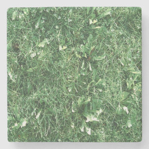 Posavasos De Piedra Solo Grass