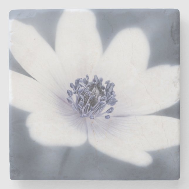 Posavasos De Piedra Sólo un pequeño flor silvestre (Anverso)