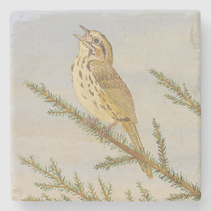 Posavasos De Piedra Song Sparrow Coaster