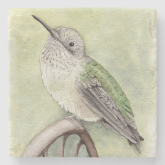 Posavasos De Piedra Soporte de Piedra para Colibrí