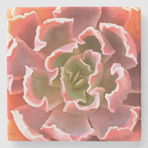 Posavasos De Piedra Sorprendente Jardín Suculentos Tonos Rosa Arte Rea