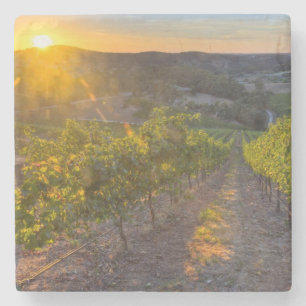 Posavasos De Piedra South Australia, Adelaide Hills, Summertown.