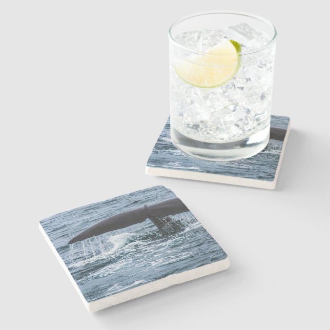 Posavasos De Piedra Sperm Whale (Lateral)