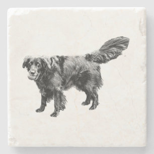 Posavasos De Piedra Spice & Play de calabaza