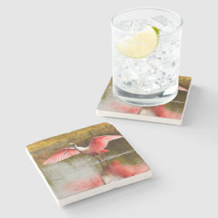 Posavasos De Piedra spoonbill