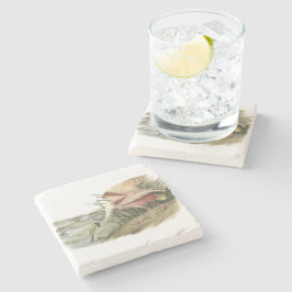 Posavasos De Piedra Spoonbill rosado por Audubon