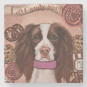 Posavasos De Piedra Springer Spaniel Inglés   