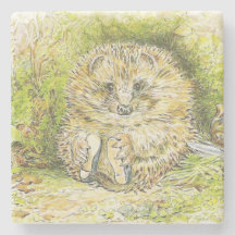 Sr. Pricky Pin (Hedgehog) (de Beatrix Potter)
