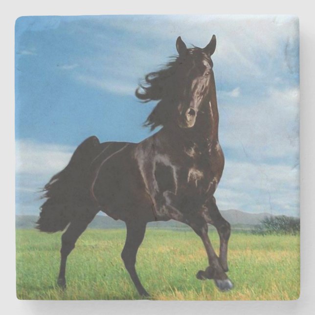 Posavasos De Piedra Stallion negro (Anverso)