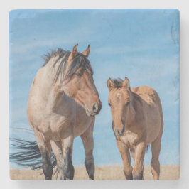 Posavasos De Piedra Stallion silvestre y Mustang Foal salvaje