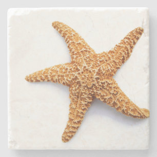 Posavasos De Piedra Starfish