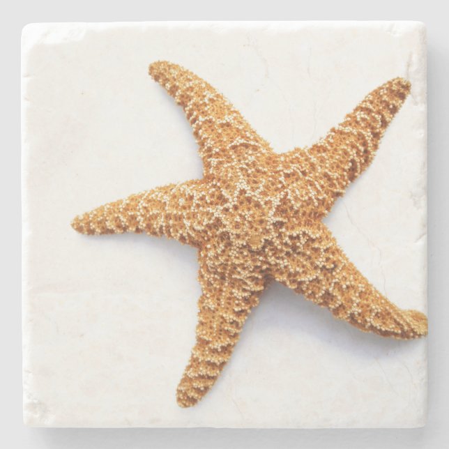 Posavasos De Piedra Starfish (Anverso)