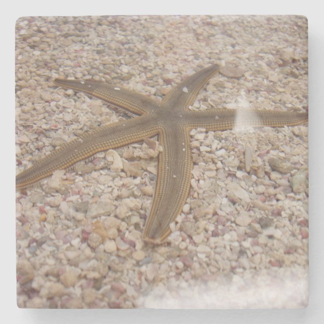 Posavasos De Piedra Starfish Stone Coaster (Anverso)