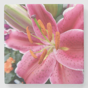 Posavasos De Piedra Stargazer