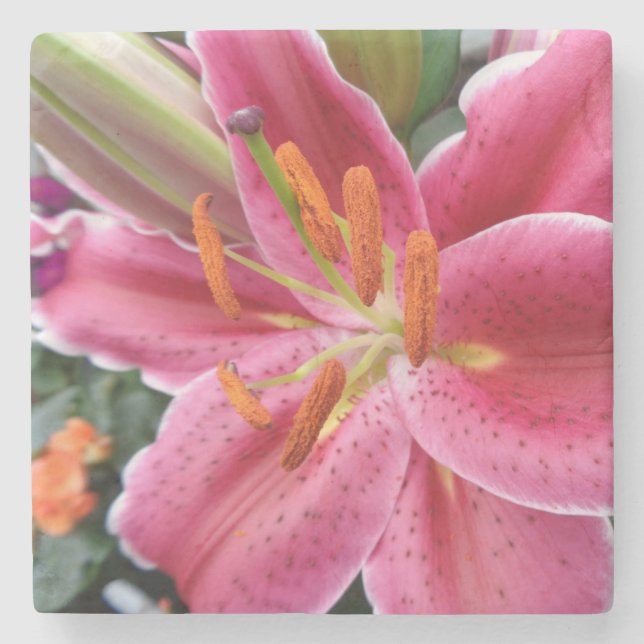 Posavasos De Piedra Stargazer (Anverso)