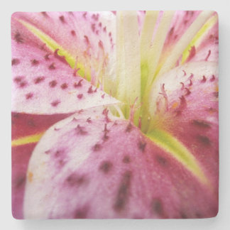 Posavasos De Piedra Stargazer Lily Bright Magenta Floral