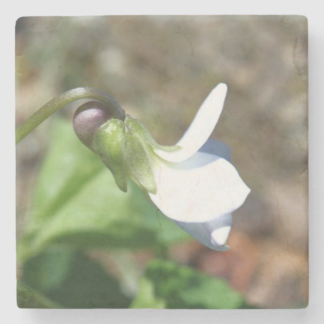 Posavasos De Piedra Stone Coaster (Anverso)