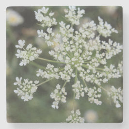 Posavasos De Piedra Stone Coaster