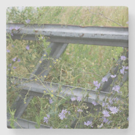 Posavasos De Piedra Stone Coaster